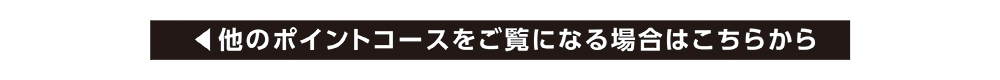 他のポイントコースをご覧になる場合はこちらから